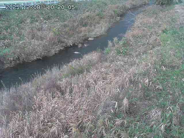日置川３2025/12/08 11:20
