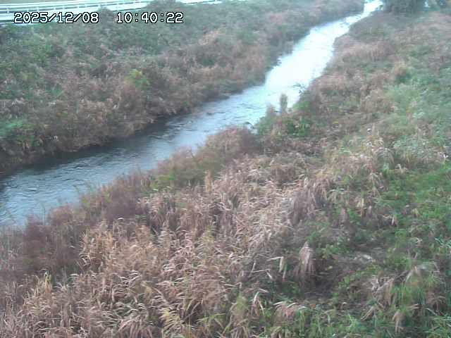 日置川３2025/12/08 11:20