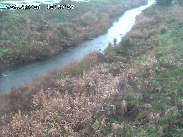 日置川３2025/12/08 11:20