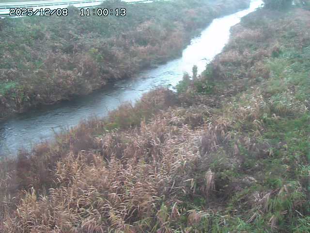 日置川３2025/12/08 11:20