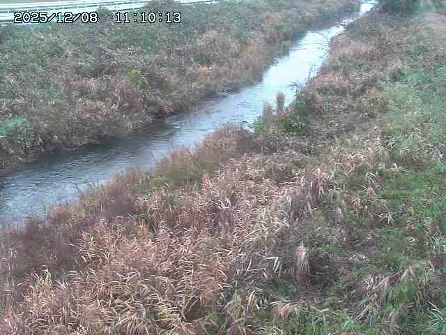 日置川３2025/12/08 11:20