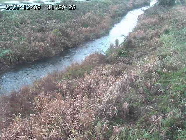 日置川３2025/12/08 11:20