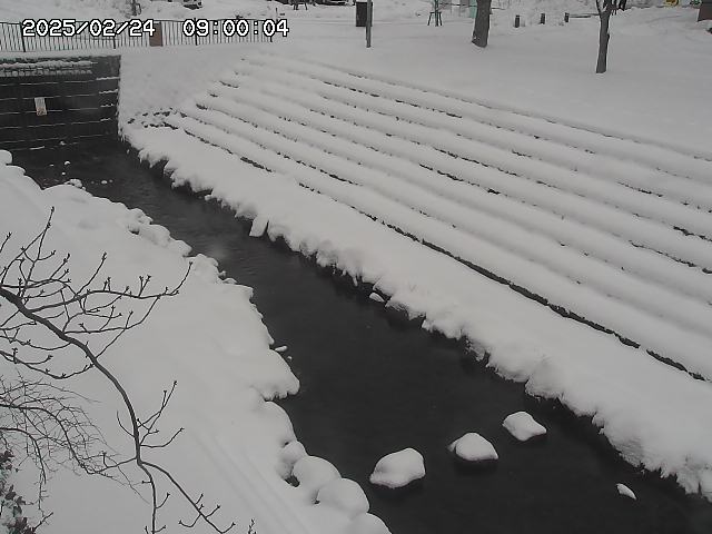 山白川１2026/02/25 02:20