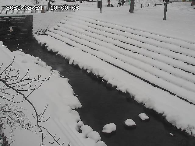 山白川１2026/02/25 02:20