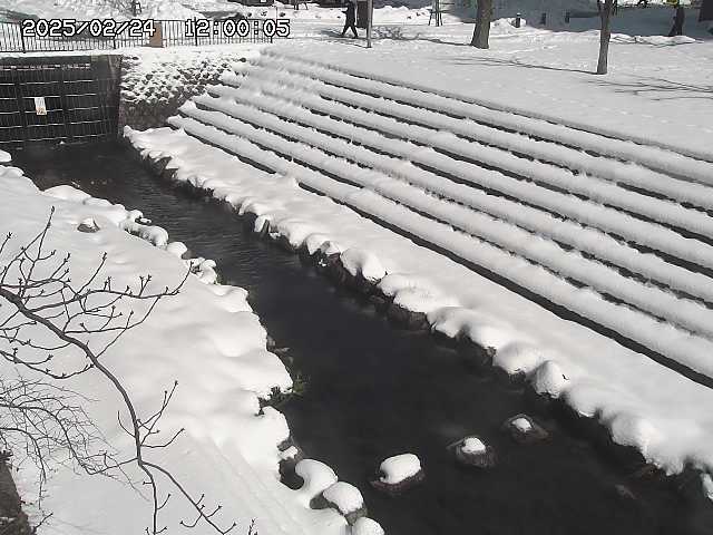 山白川１2026/02/25 02:20
