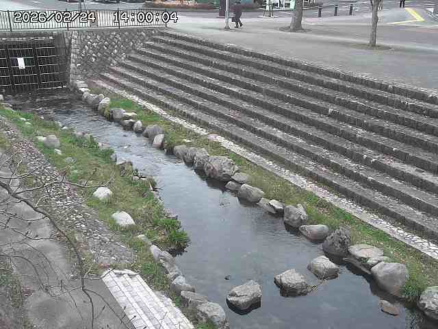 山白川１2026/02/25 02:20