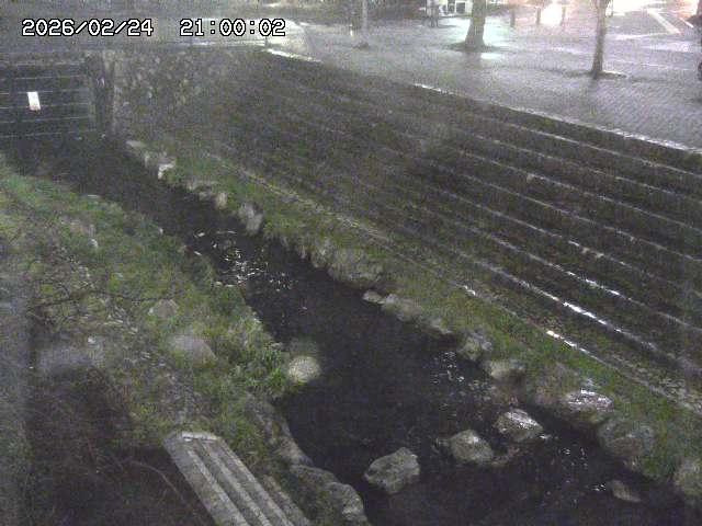 山白川１2026/02/25 02:20
