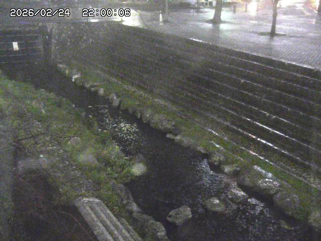 山白川１2026/02/25 02:20