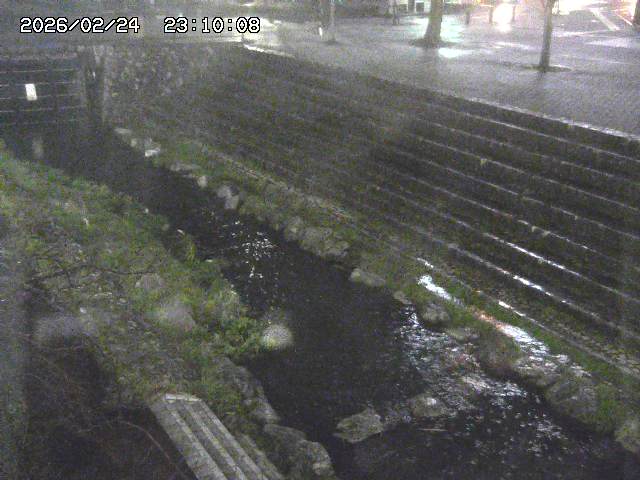 山白川１2026/02/25 02:20
