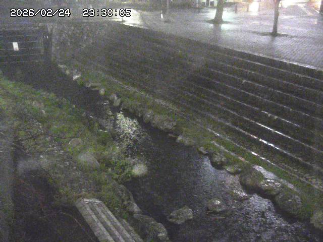 山白川１2026/02/25 02:20