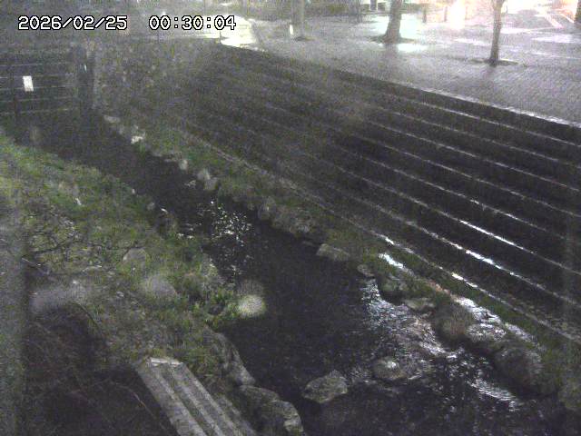 山白川１2026/02/25 02:20
