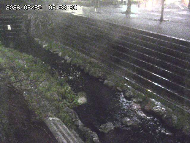 山白川１2026/02/25 02:20