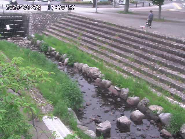 山白川１2026/05/01 16:50