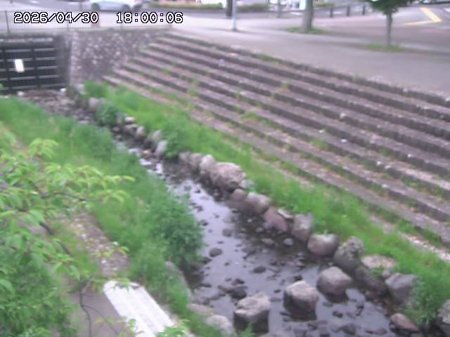 山白川１2026/05/01 16:50