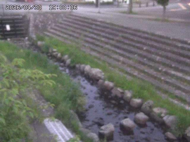 山白川１2026/05/01 16:50