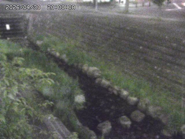 山白川１2026/05/01 16:50