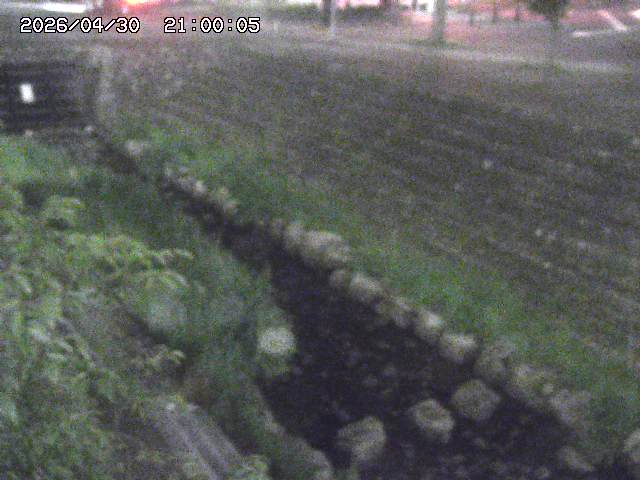 山白川１2026/05/01 16:50
