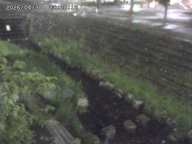 山白川１2026/05/01 16:50