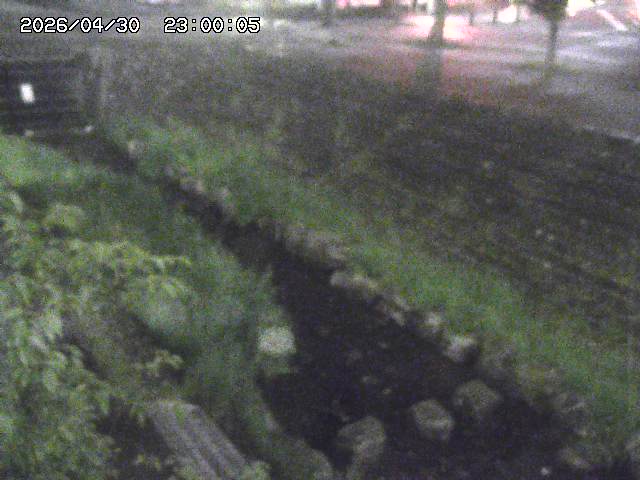 山白川１2026/05/01 16:50