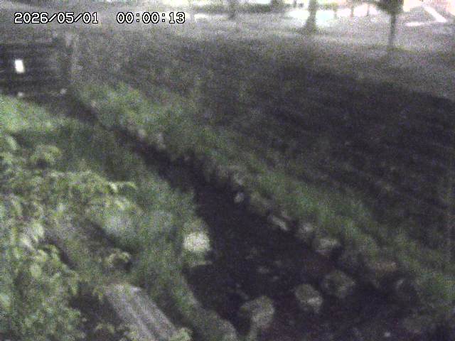 山白川１2026/05/01 16:50