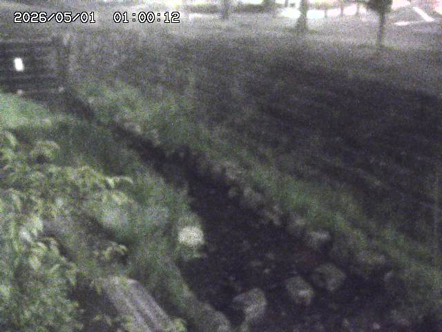 山白川１2026/05/01 16:50