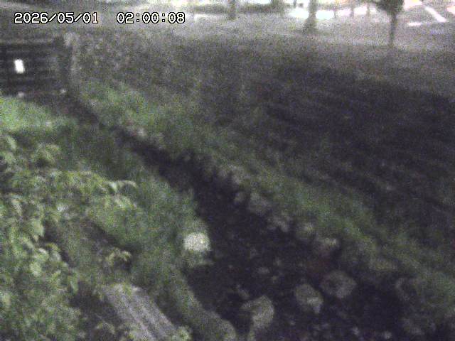 山白川１2026/05/01 16:50