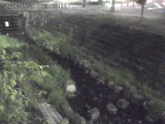 山白川１2026/05/01 16:50