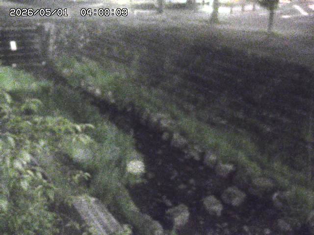 山白川１2026/05/01 16:50