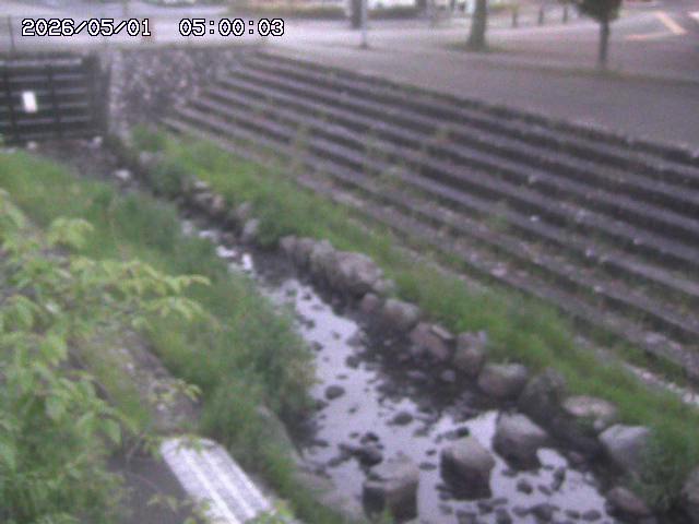 山白川１2026/05/01 16:50