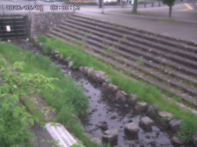 山白川１2026/05/01 16:50