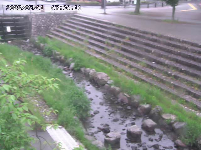 山白川１2026/05/01 16:50