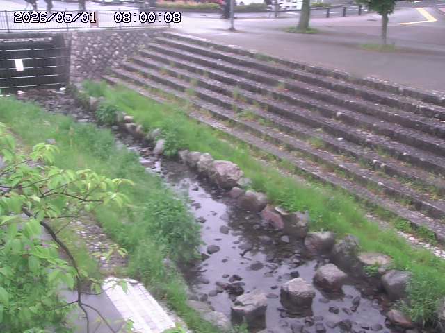 山白川１2026/05/01 16:50