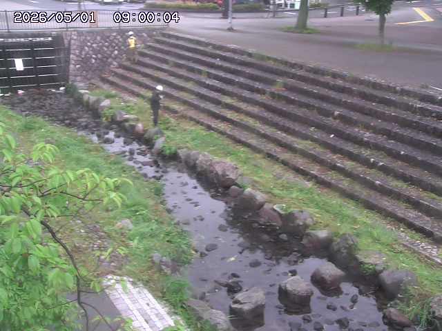 山白川１2026/05/01 16:50