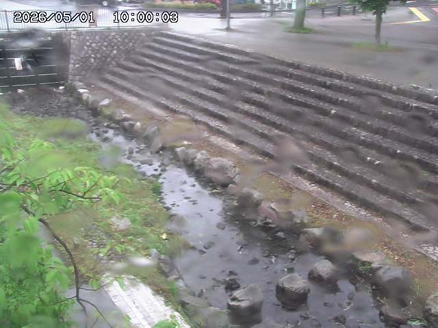 山白川１2026/05/01 16:50