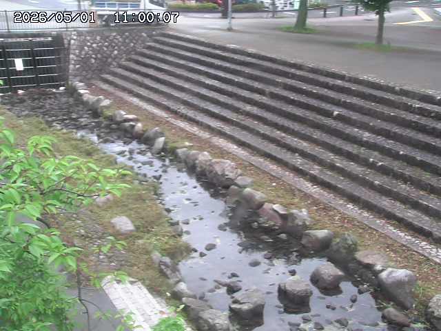 山白川１2026/05/01 16:50