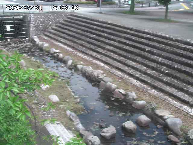 山白川１2026/05/01 16:50