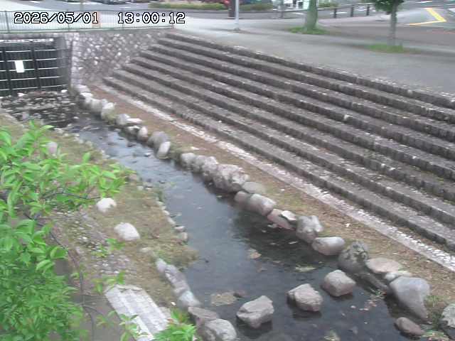 山白川１2026/05/01 16:50