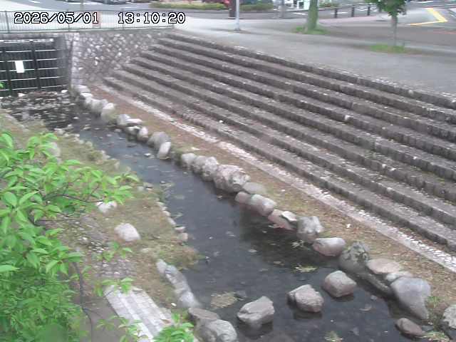山白川１2026/05/01 16:50