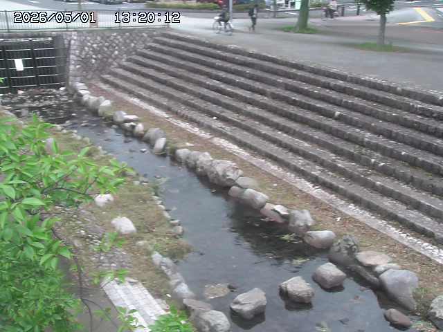 山白川１2026/05/01 16:50