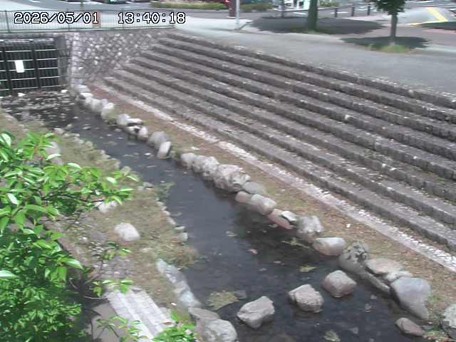 山白川１2026/05/01 16:50