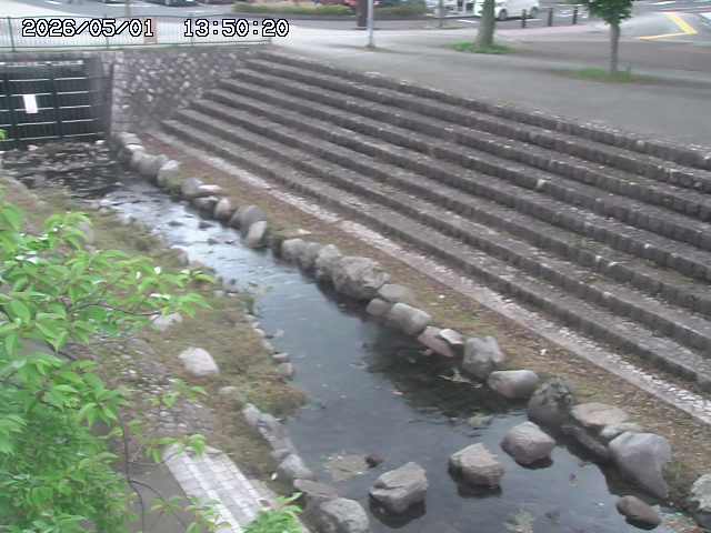 山白川１2026/05/01 16:50