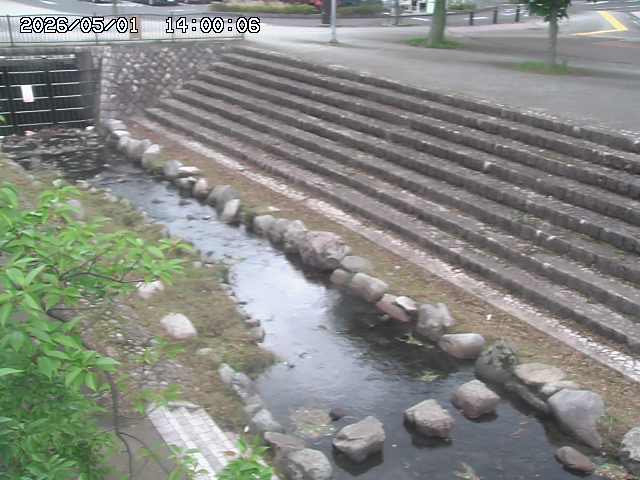 山白川１2026/05/01 16:50