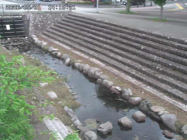 山白川１2026/05/01 16:50