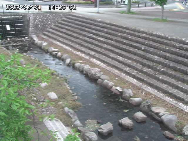 山白川１2026/05/01 16:50