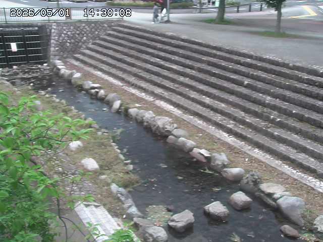 山白川１2026/05/01 16:50