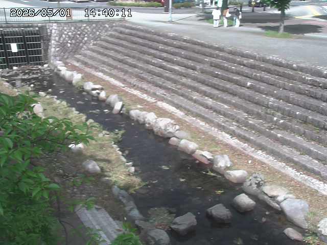山白川１2026/05/01 16:50