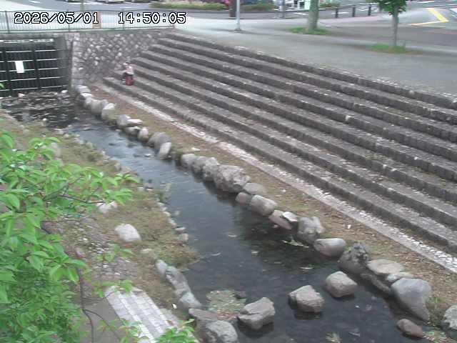 山白川１2026/05/01 16:50
