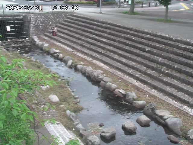 山白川１2026/05/01 16:50