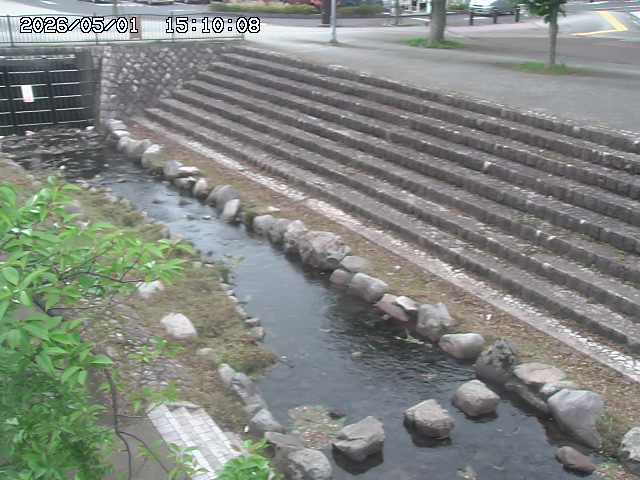 山白川１2026/05/01 16:50