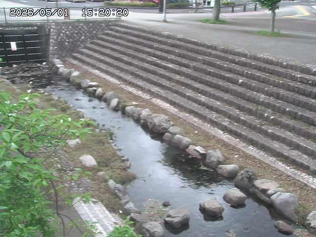 山白川１2026/05/01 16:50